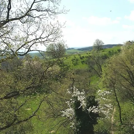 Les Cadichons De La Grange Saint-Péray