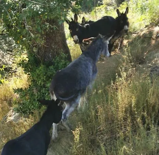 Σπίτι διακοπών Les Cadichons De La Grange