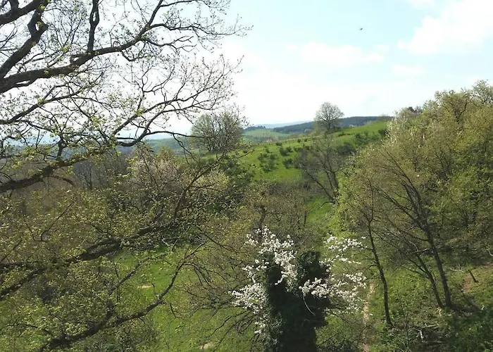 Les Cadichons De La Grange Saint-Péray